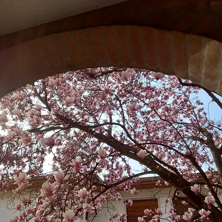 Casa de Férias Fausto&deby Oriago