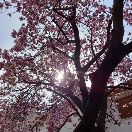 Fausto&deby * Oriago